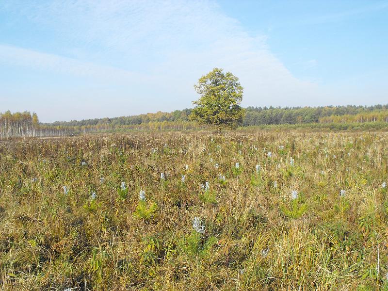 DSCF3047.JPG