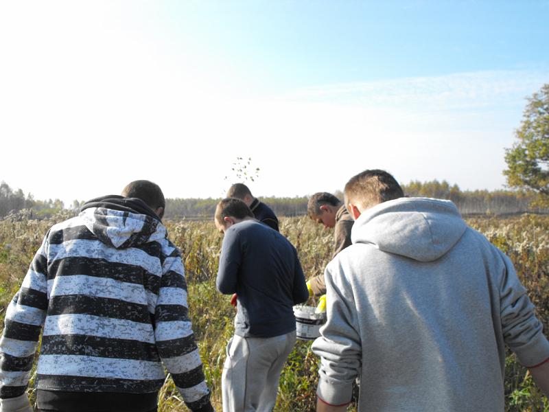 DSCF3053.JPG