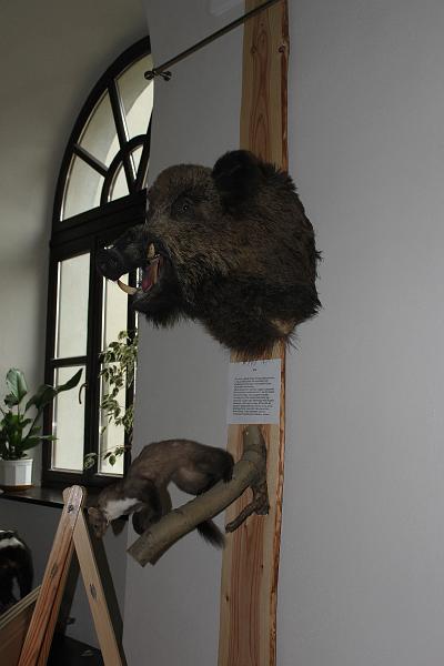 IMG_6188.JPG