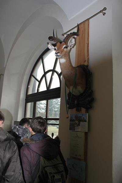 IMG_6194.JPG